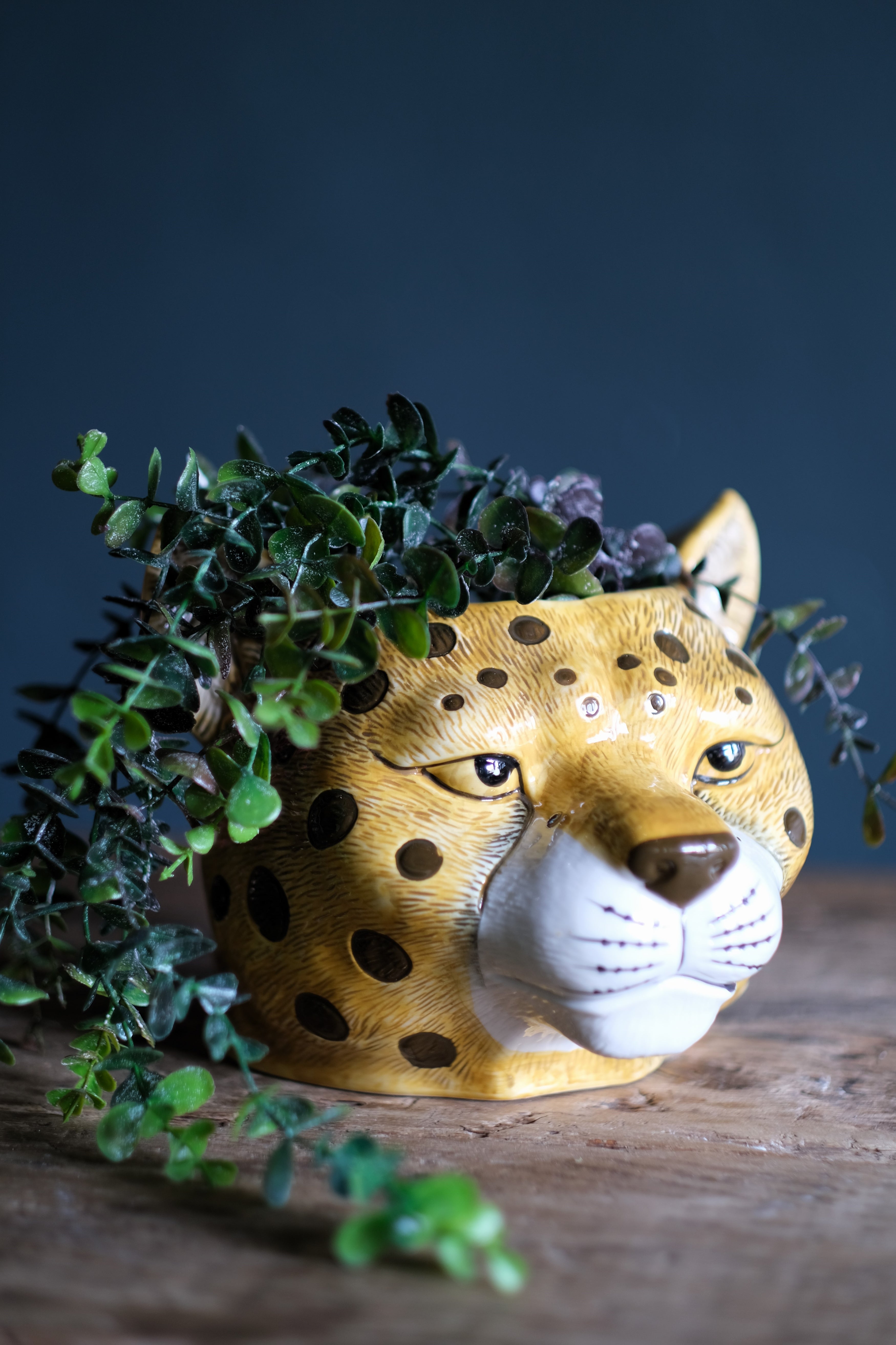 Can't Be Tamed Planter/Cooler – AddisonsWonderland