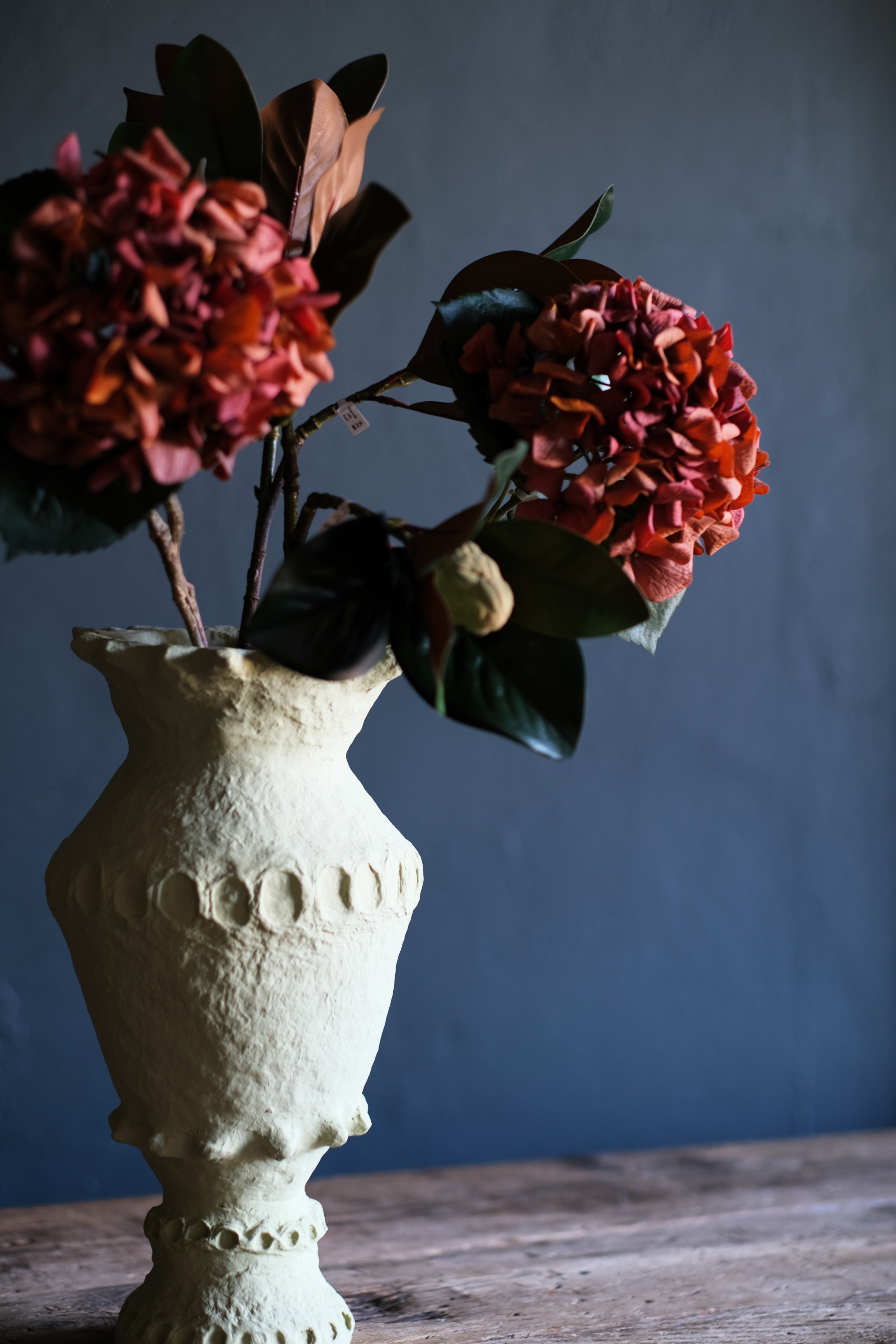 Hydrangea | Sunset – AddisonsWonderland