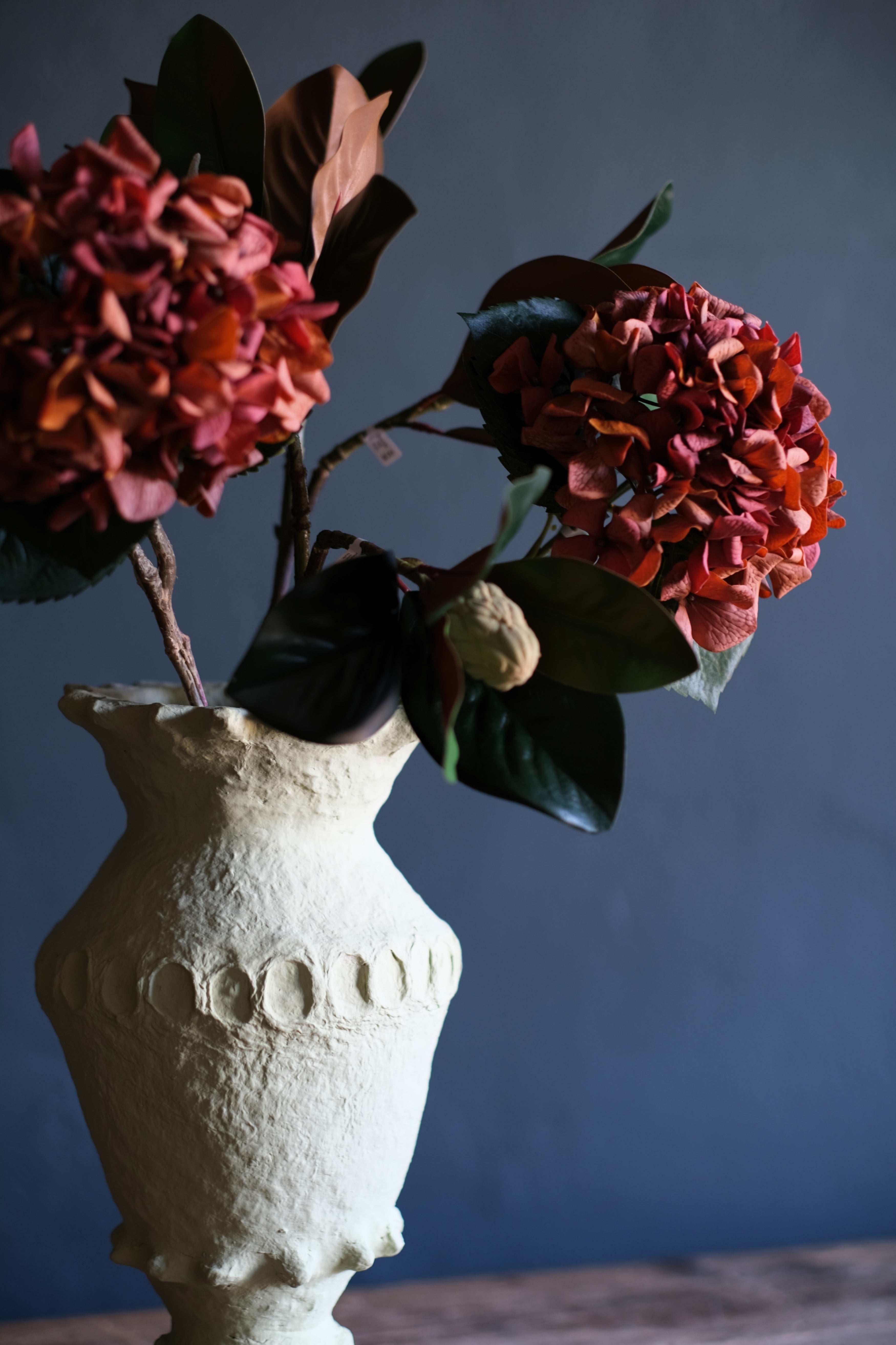 Hydrangea | Sunset – AddisonsWonderland