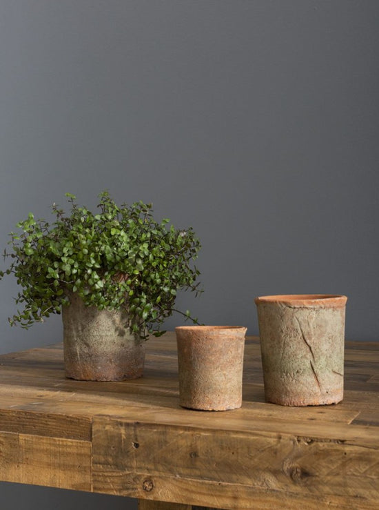 Load image into Gallery viewer, Mossy Wonder Planters
