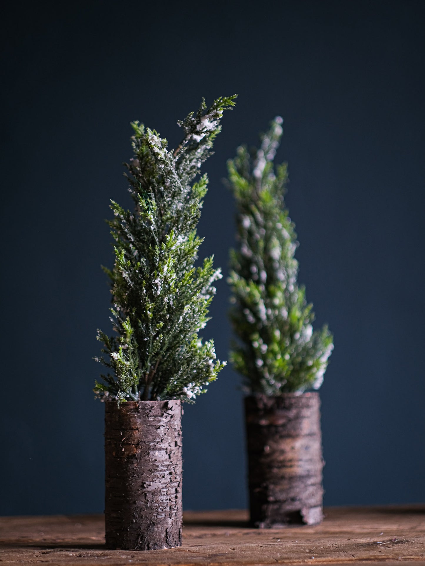 Faux Cypress Tree in Birch Bark Pot