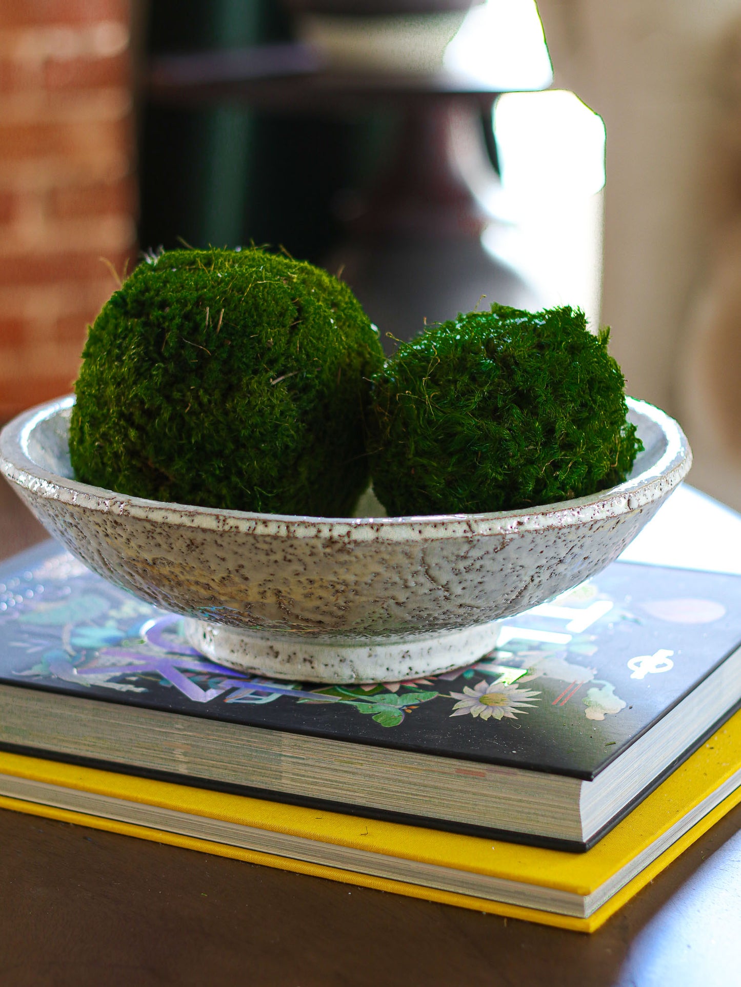 Load image into Gallery viewer, 5&amp;quot; Preserved Moss Ball
