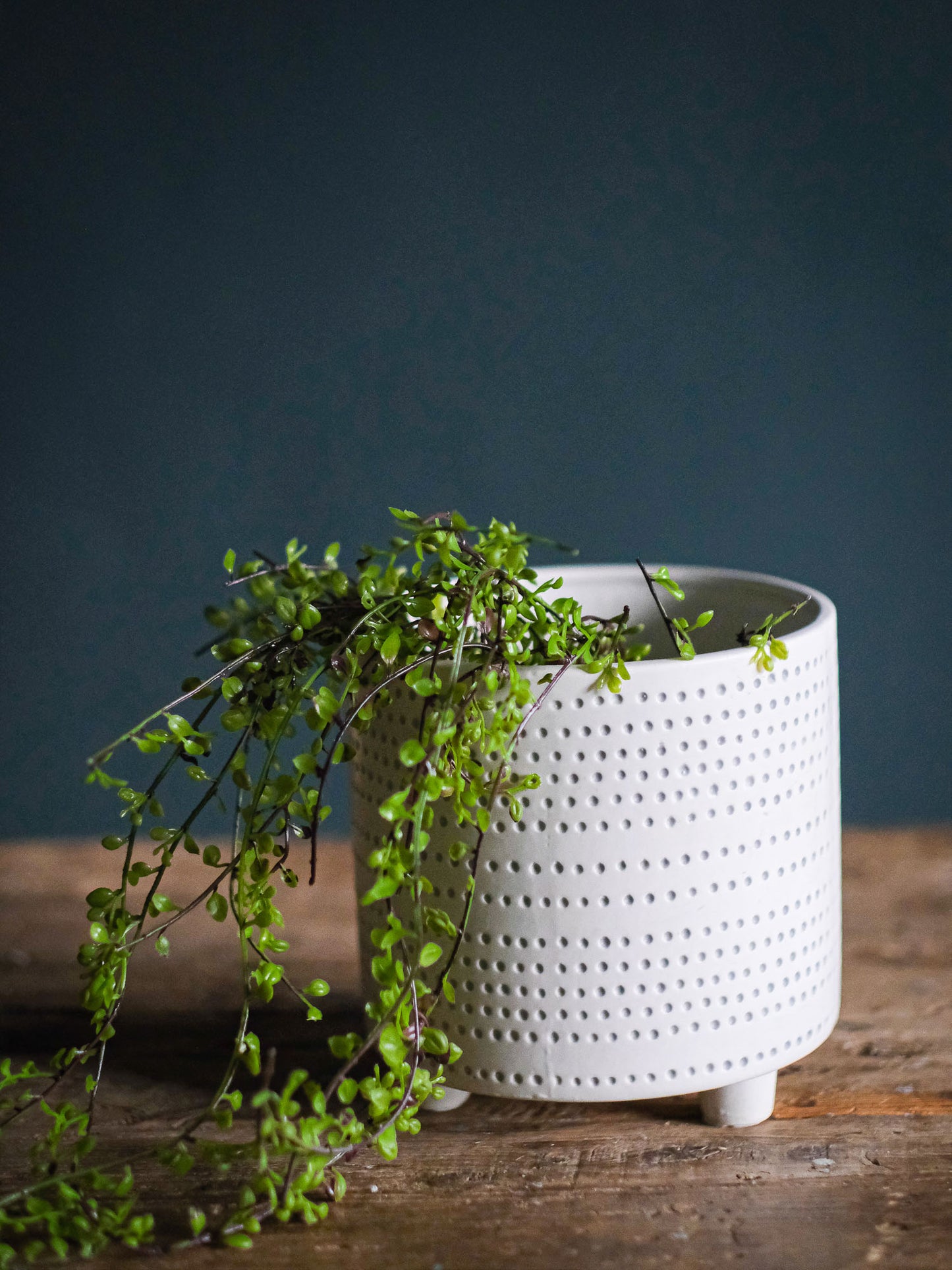 Dotted Ceramic Footed Planter
