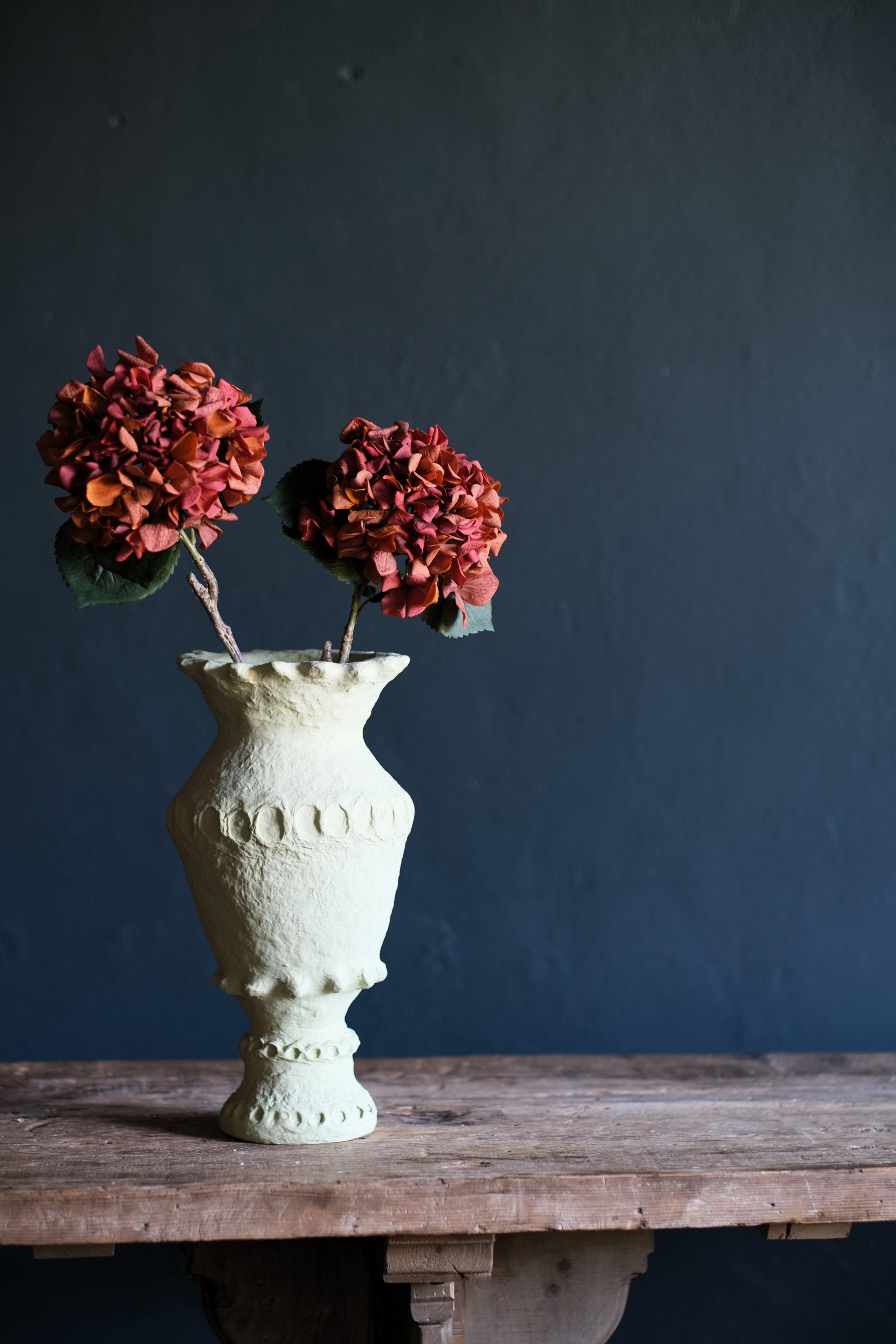 Hydrangea | Sunset – AddisonsWonderland