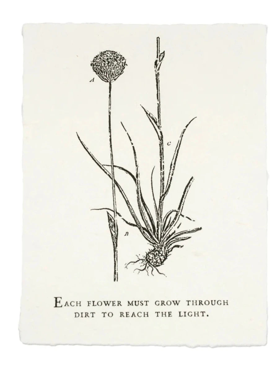 Each Flower Must Grow | Paper Print