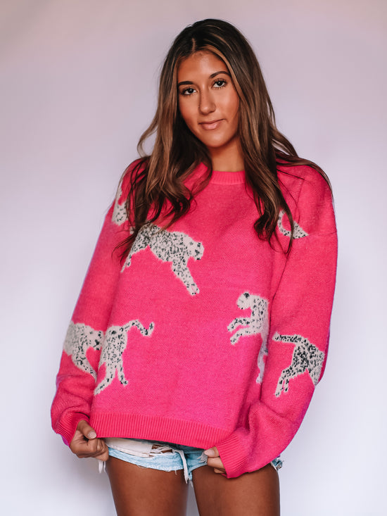 Load image into Gallery viewer, Wild Ambition Sweater
