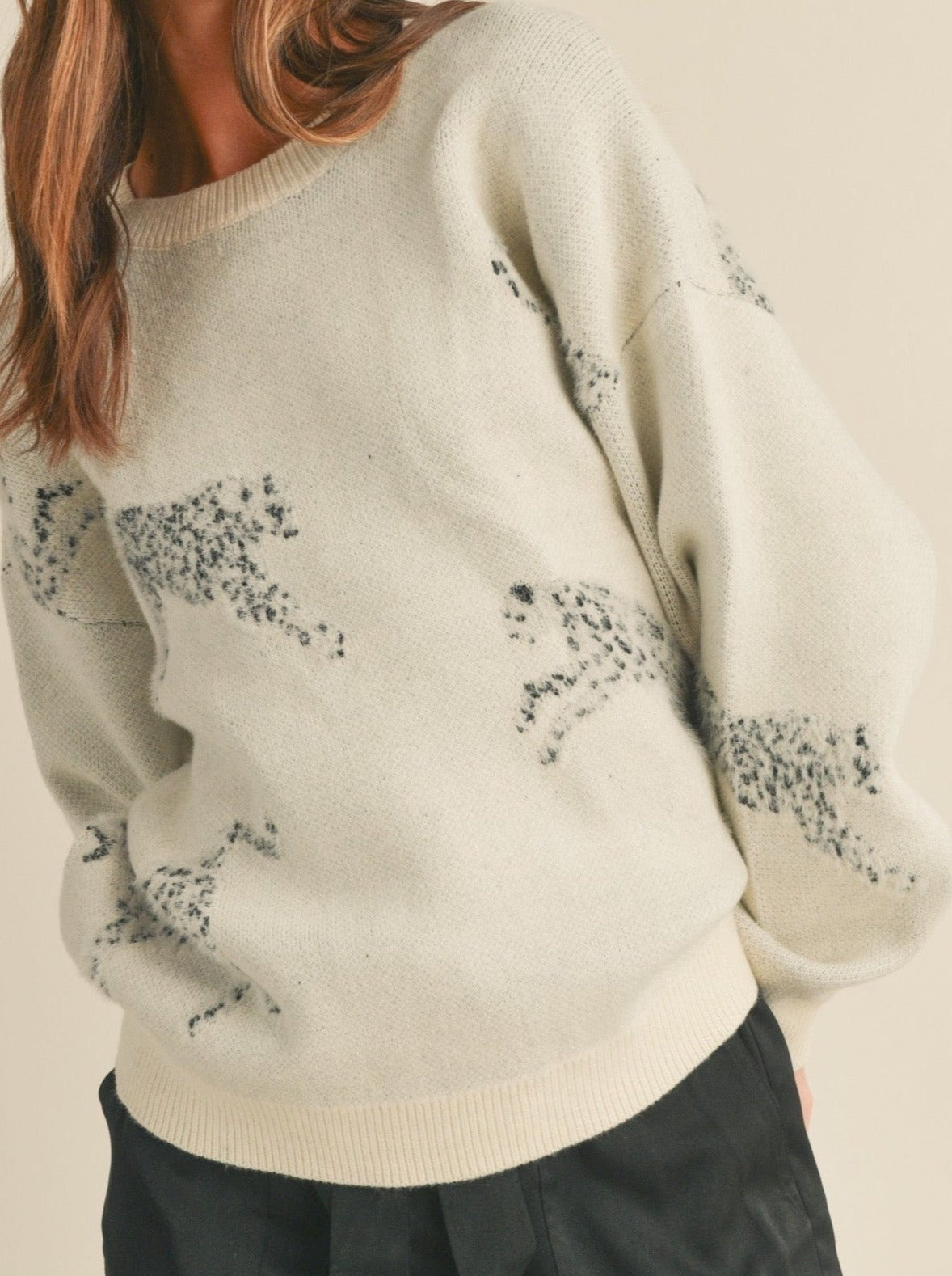 Load image into Gallery viewer, Wild Ambition Sweater
