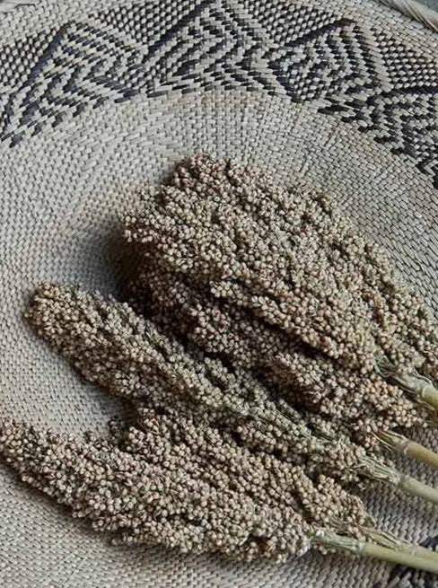 Sorghum Dried Stem | Coffee